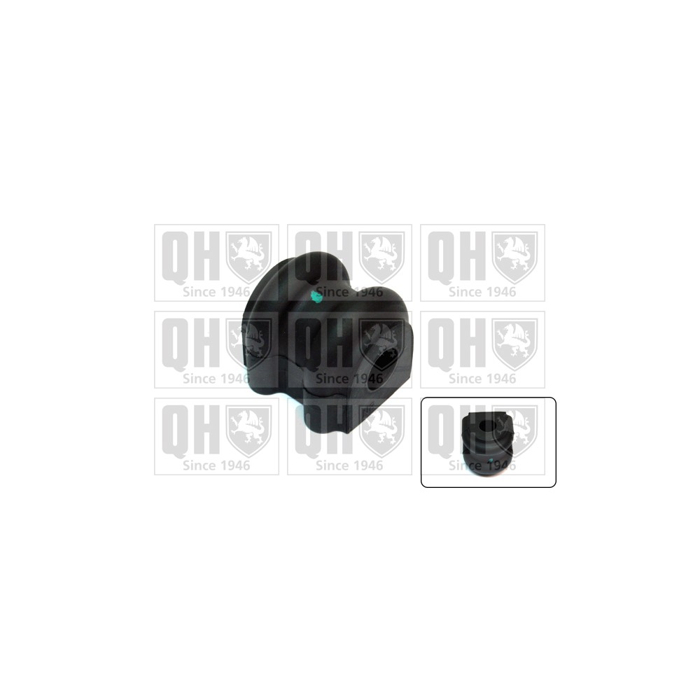 Image for QH EMB7355 Stabiliser Bar Bush