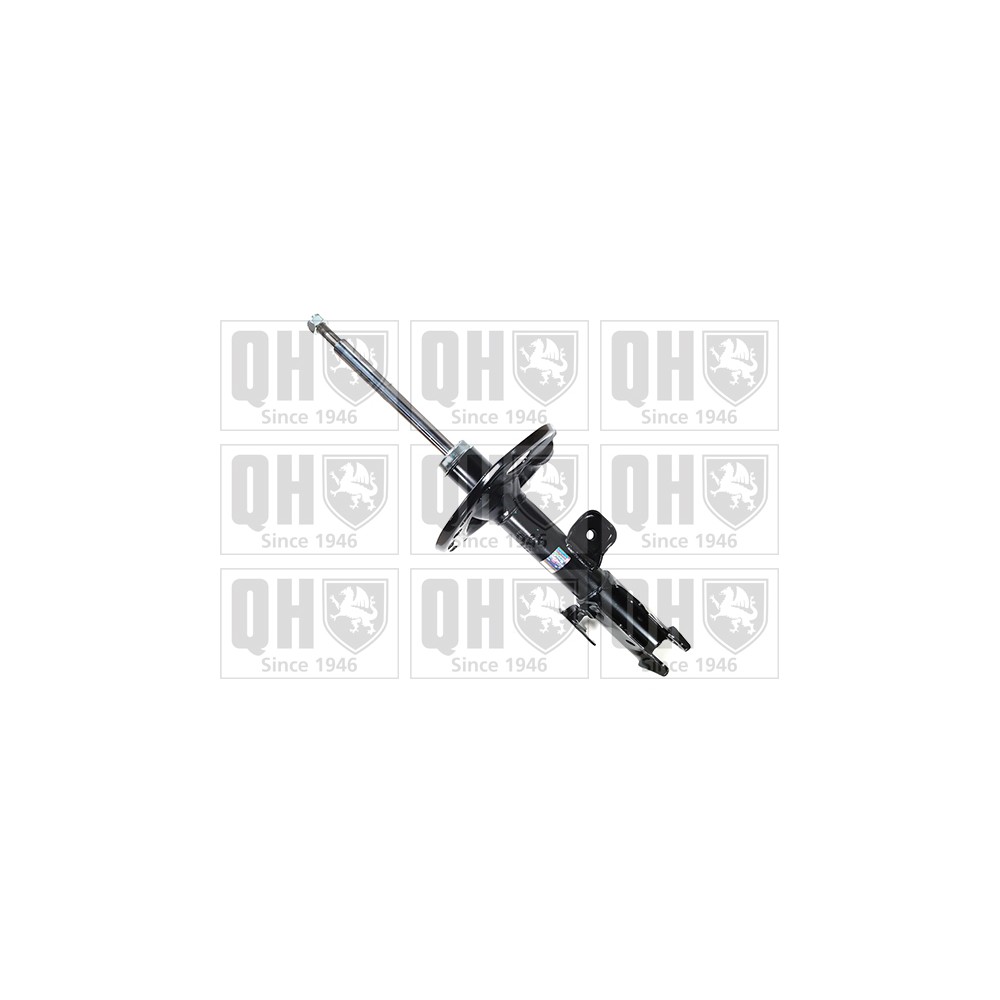 Image for QH QAG181053 Shock Absorber