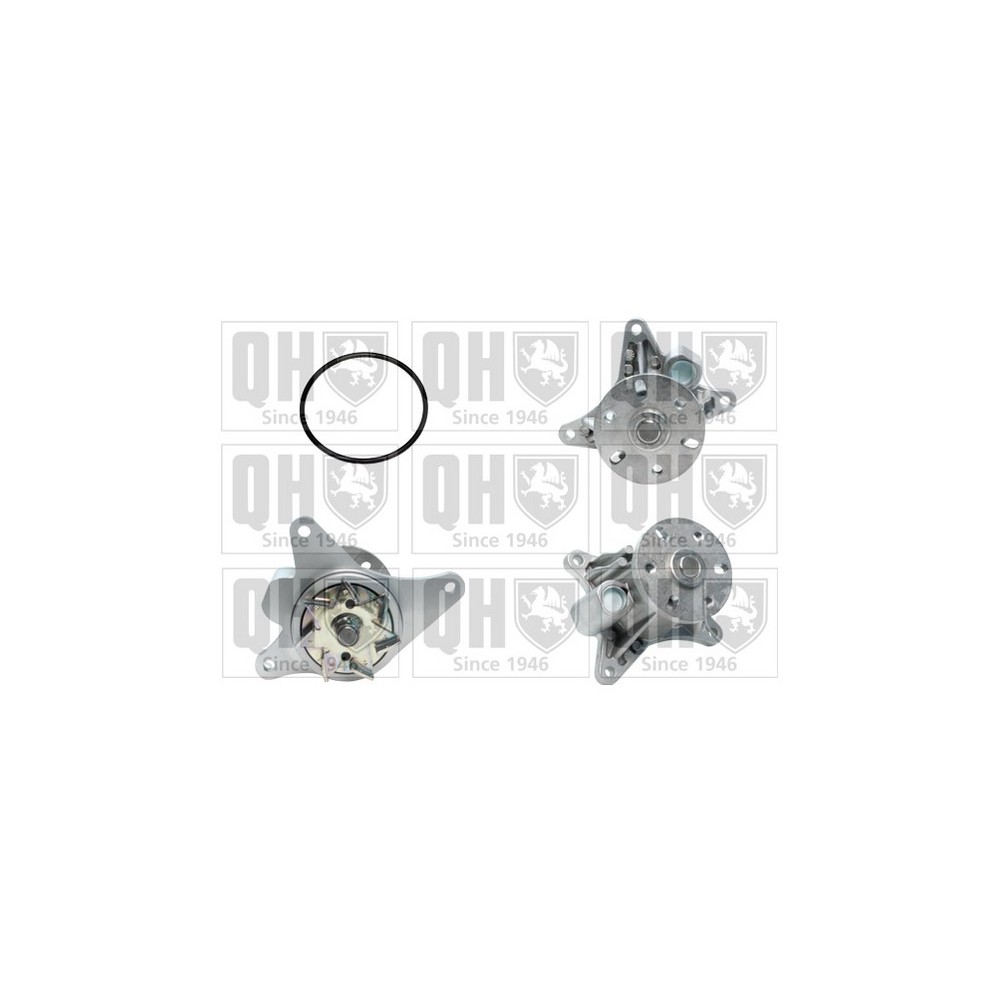 Image for QH QCP3683 Water Pump