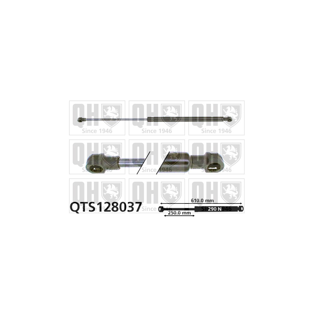 Image for QH QTS128037 Gas Spring