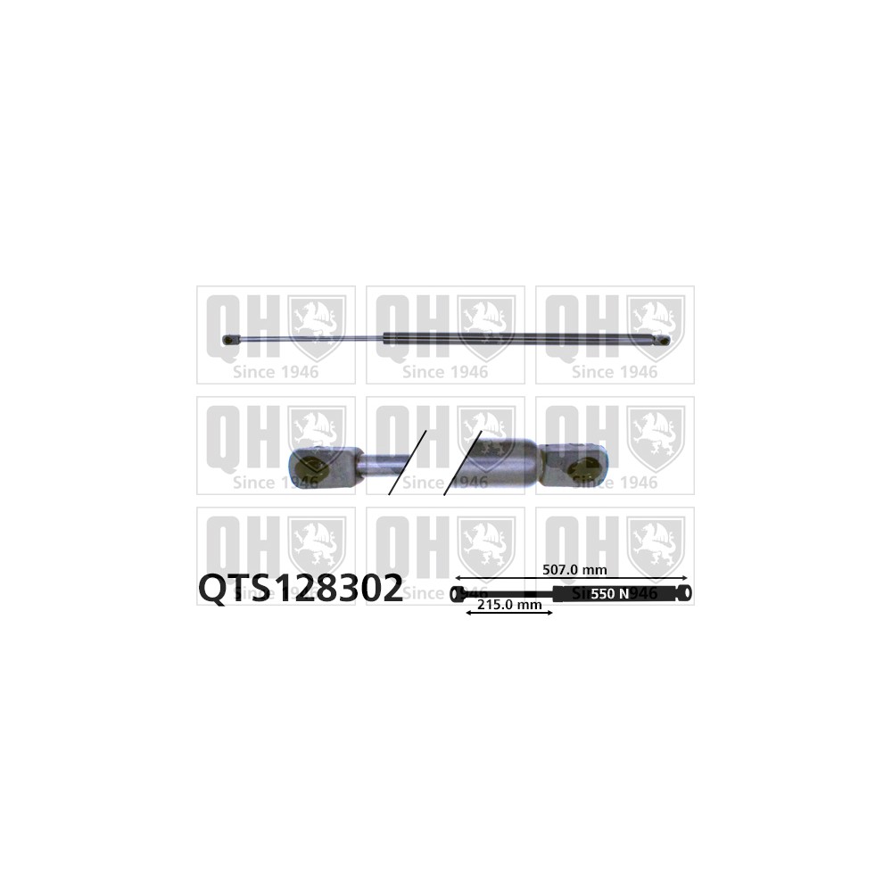 Image for QH QTS128302 Gas Spring
