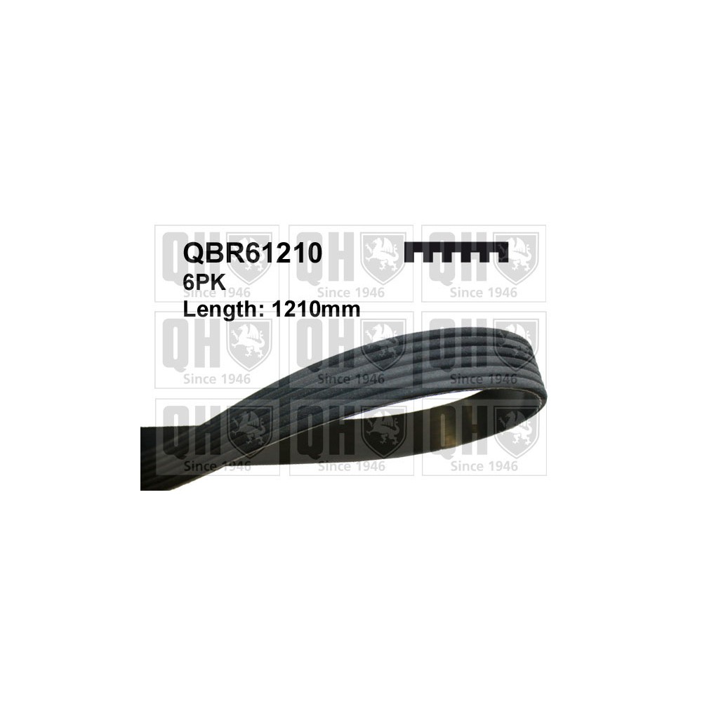 Image for QH QBR61210 MULTI-RIBBED BELT