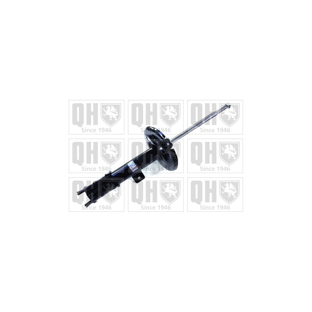 Image for QH QAG181328 Shock Absorber