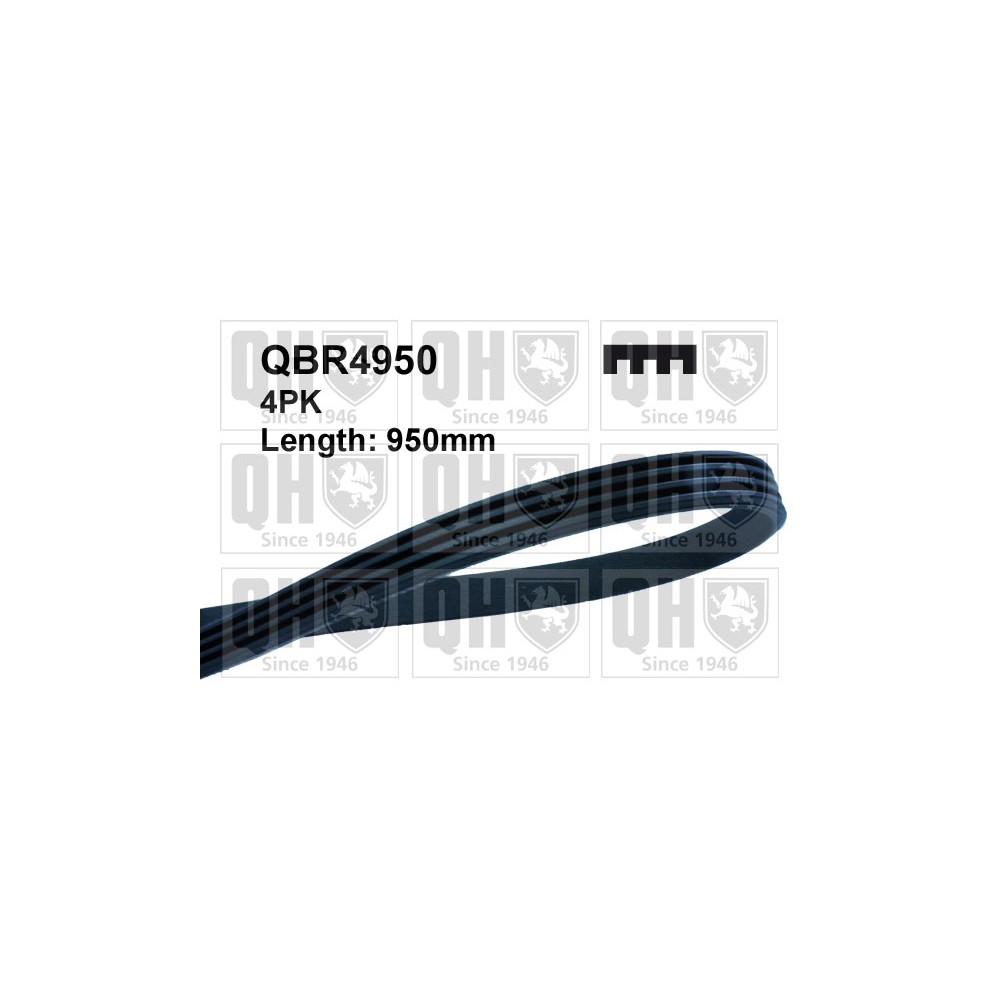 Image for QH QBR4950 Drive Belt