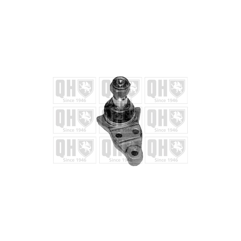 Image for QH QSJ1001S Ball Joint - Front Lower LH & RH