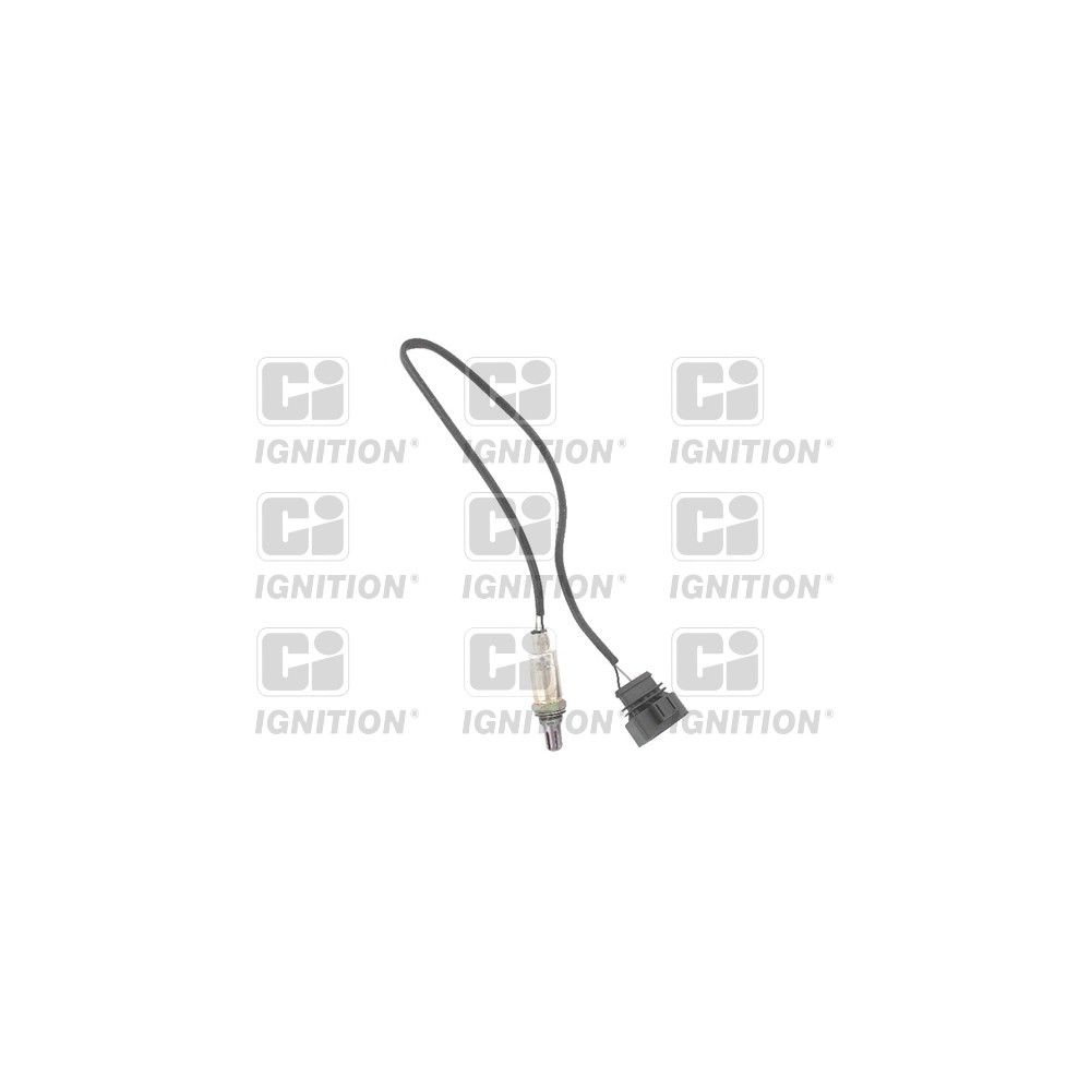 Image for Oxygen Sensor