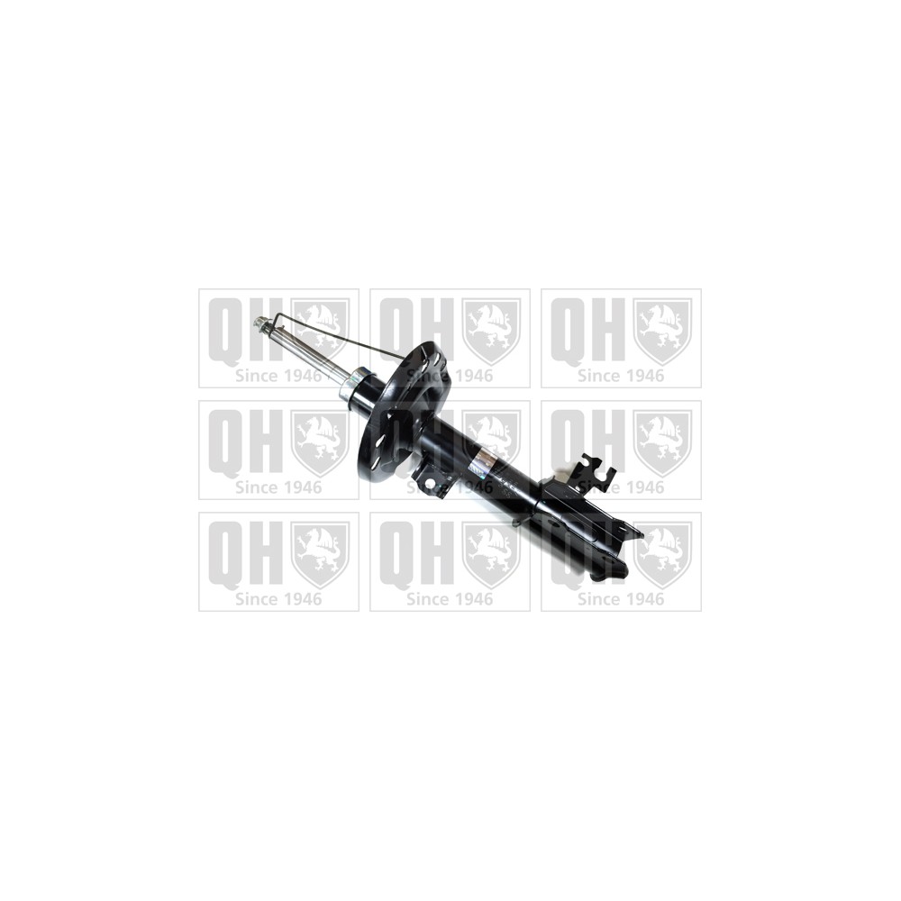 Image for QH QAG178892 Shock Absorber