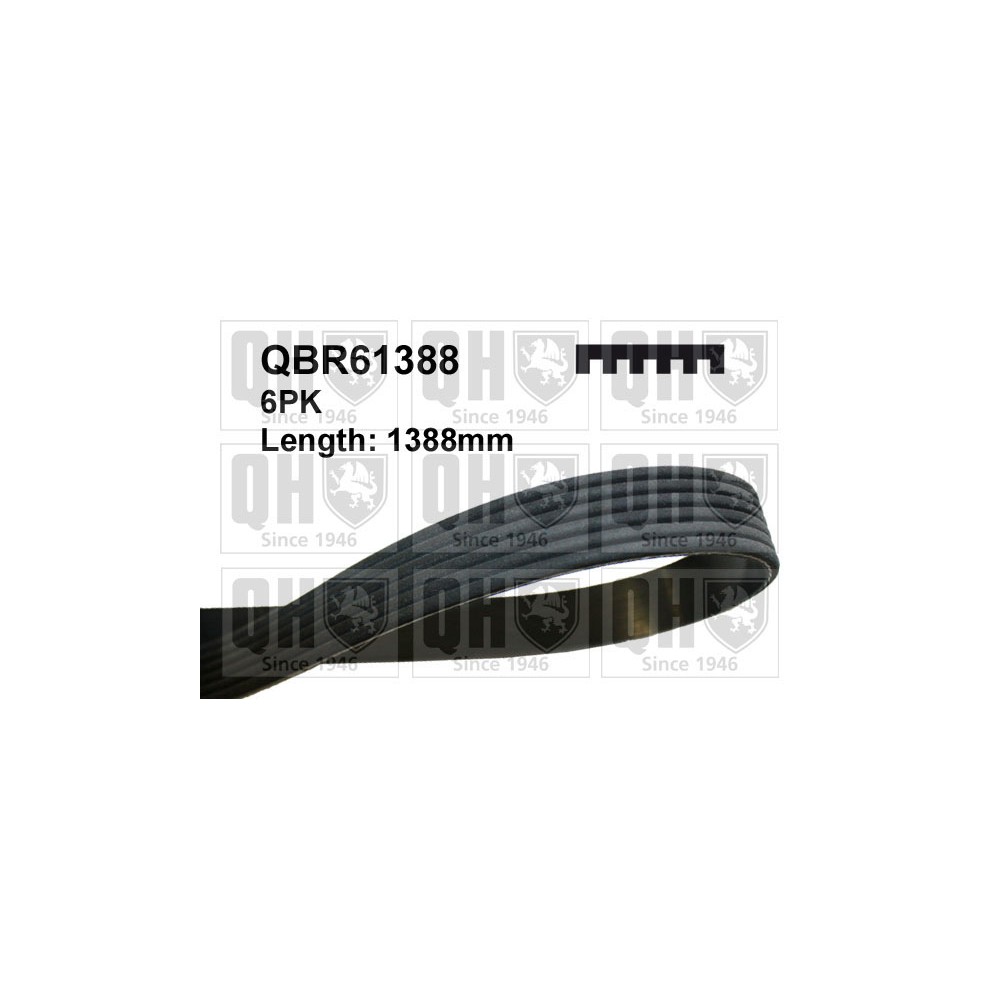 Image for QH QBR61388 Drive Belt