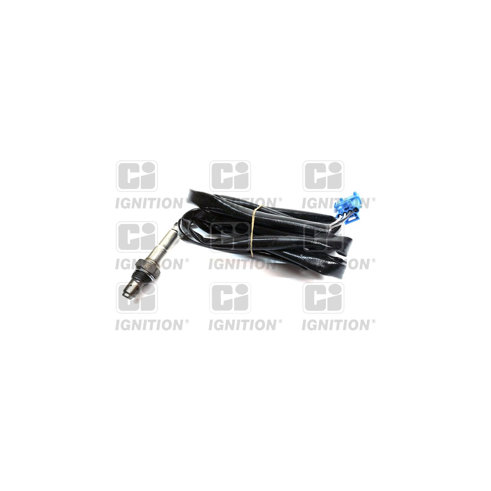 Image for Oxygen Sensor