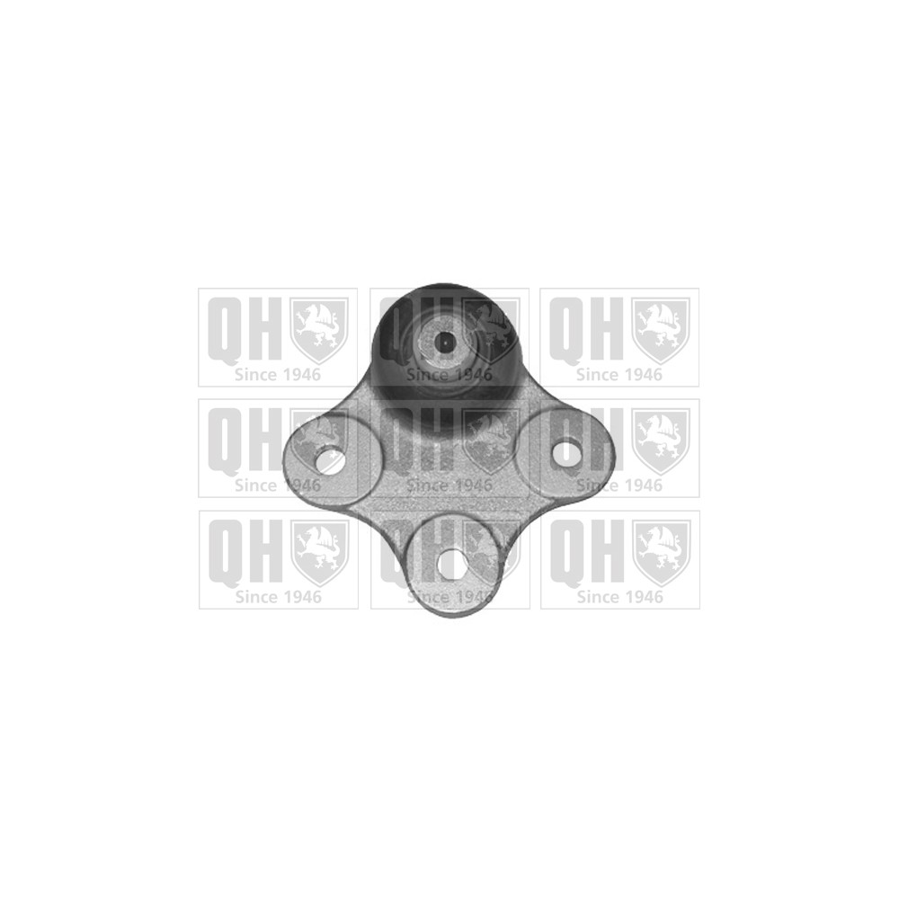 Image for QH QSJ3393S Ball Joint - Front Lower LH & RH