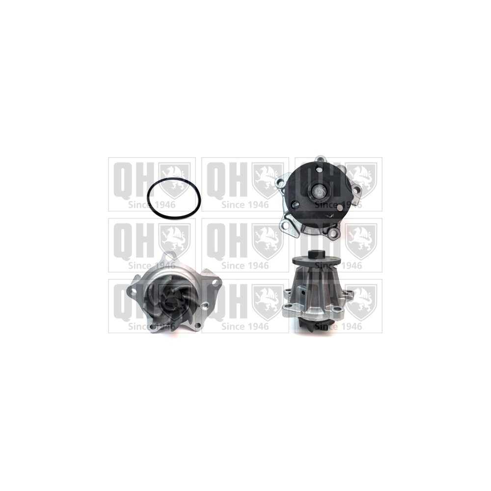 Image for QH QCP2887 Water Pump