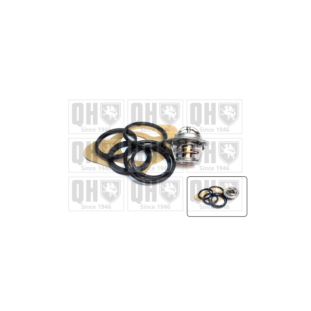 Image for QH QTH118K Thermostat Kit