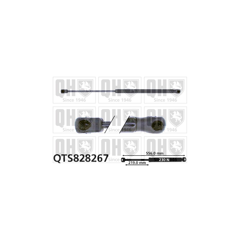 Image for QH QTS828267 Gas Spring