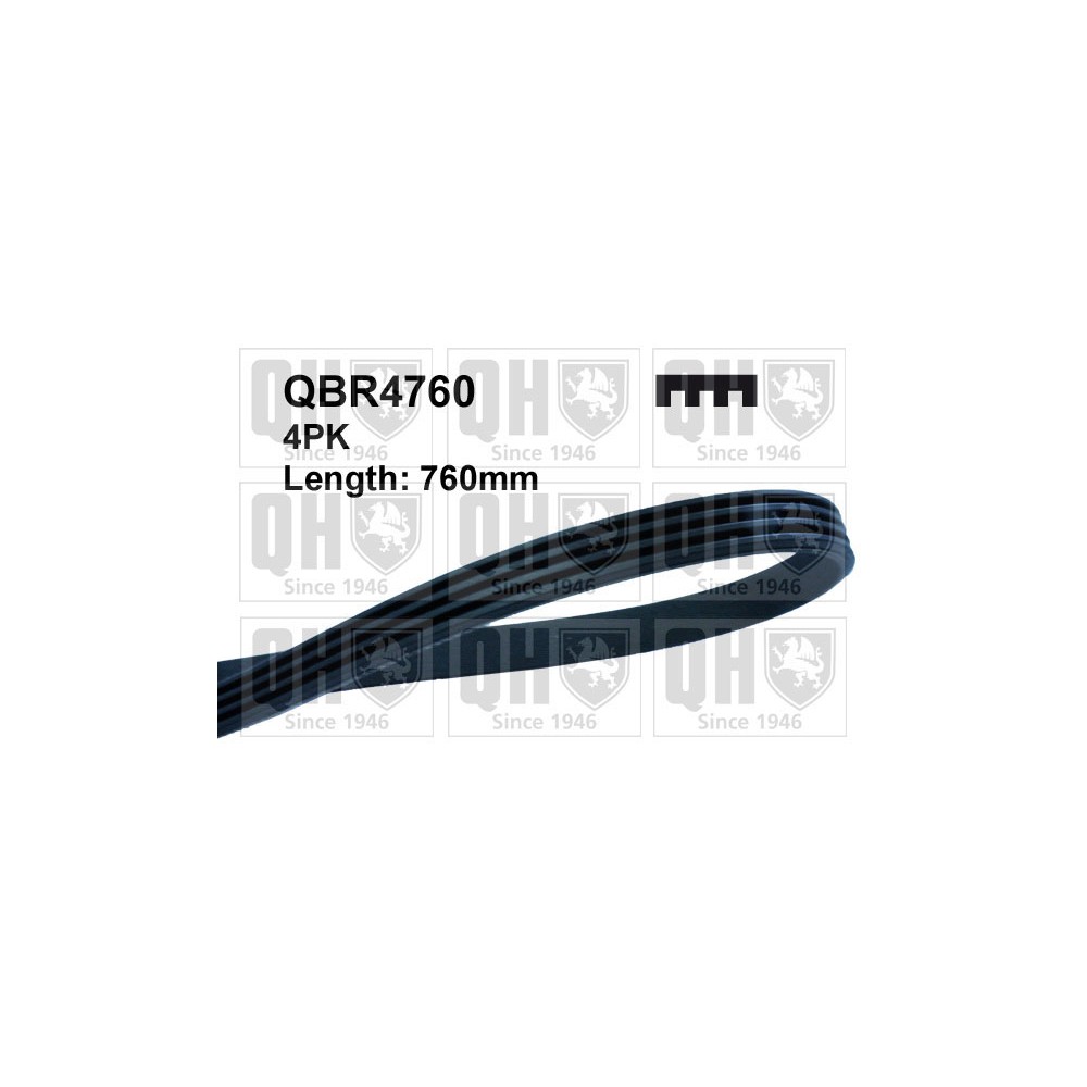 Image for QH QBR4760 MULTI-RIBBED BELT