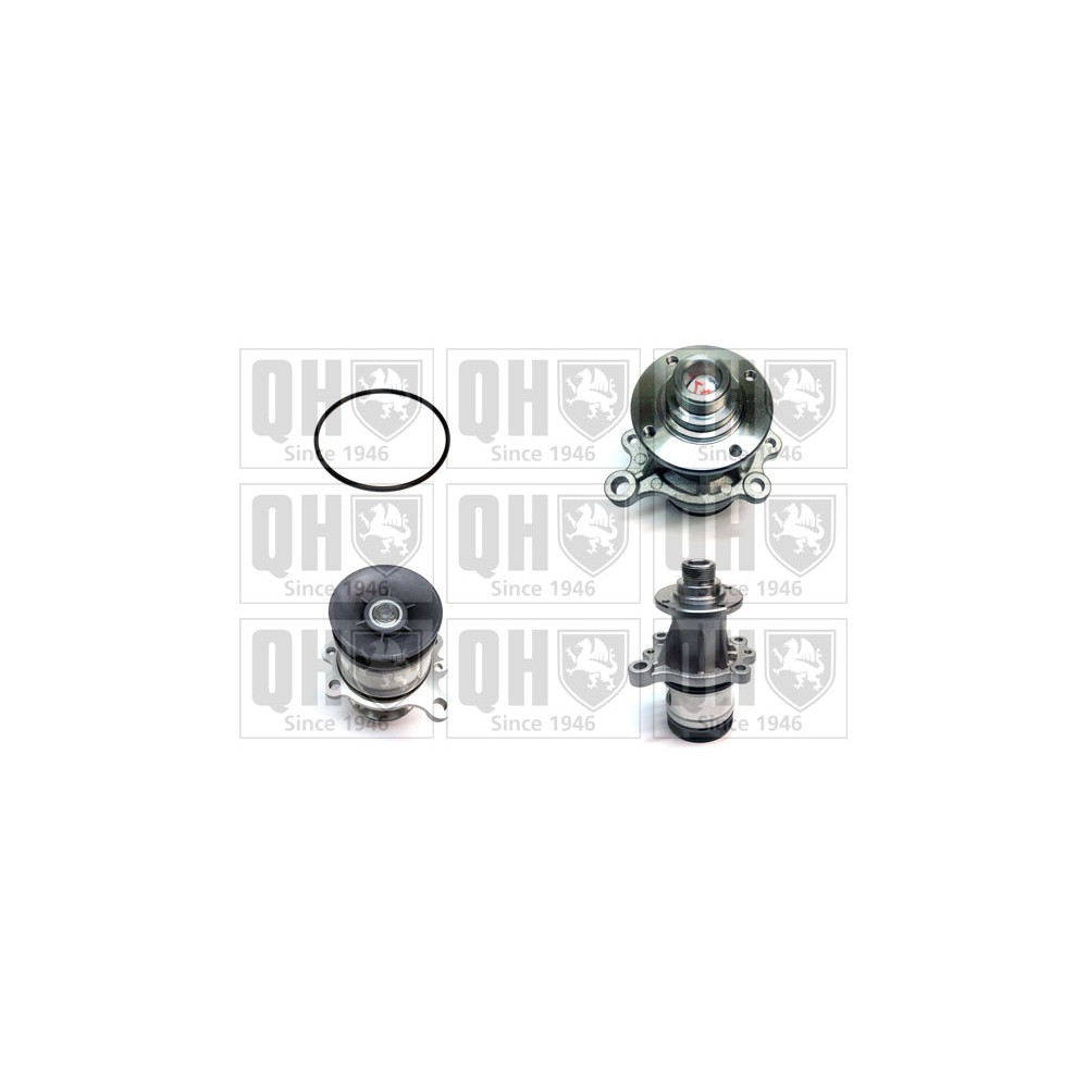Image for QH QCP3067 Water Pump