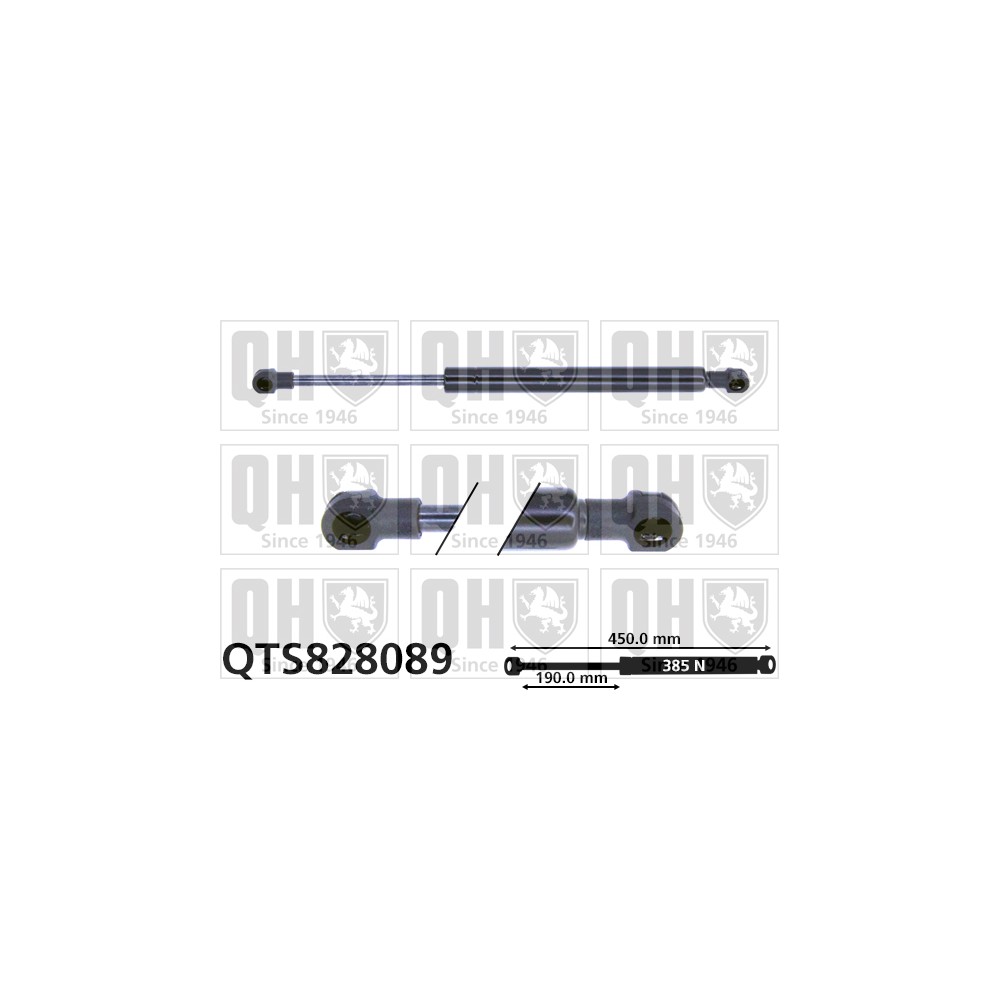 Image for QH QTS828089 Gas Spring