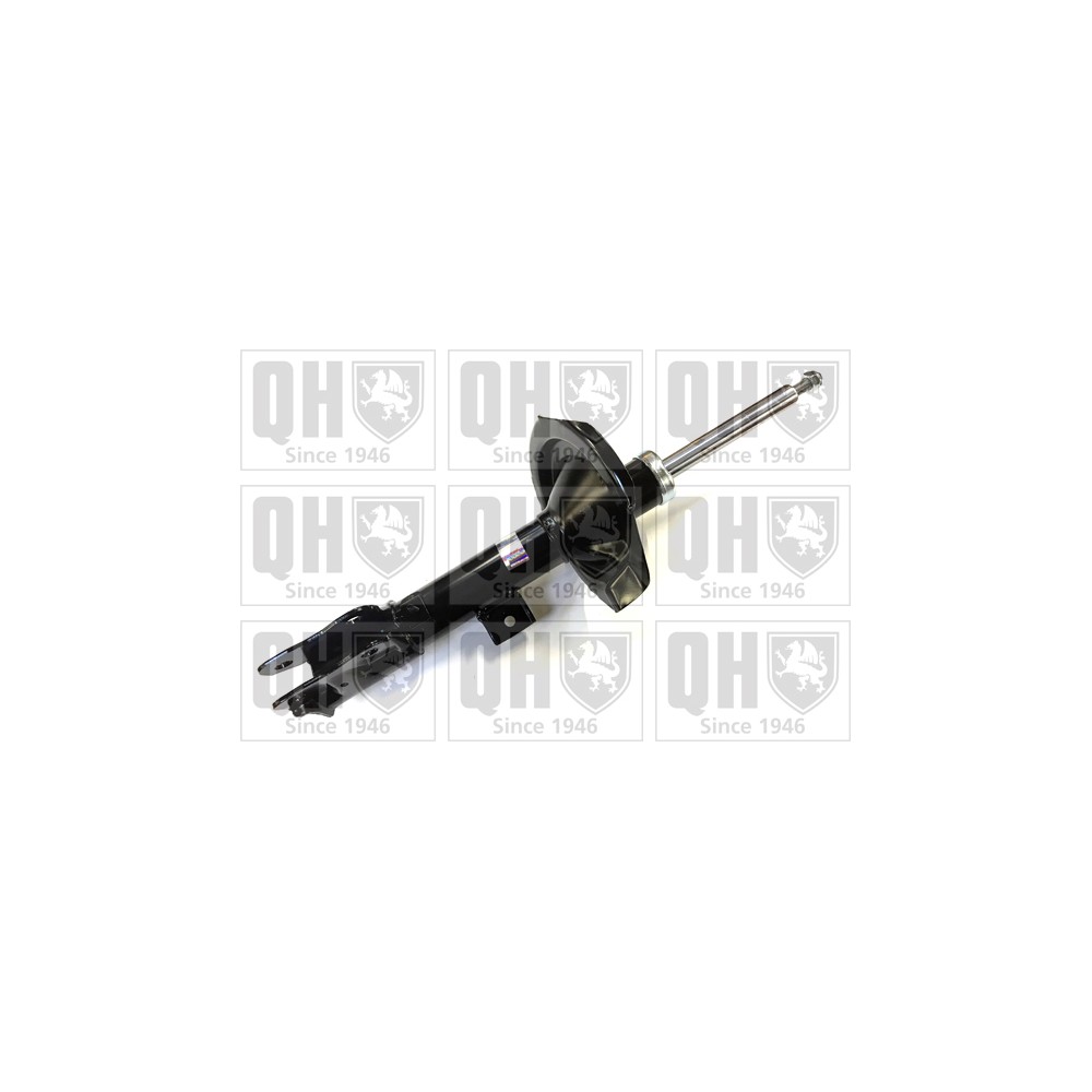 Image for QH QAG181364 Shock Absorber