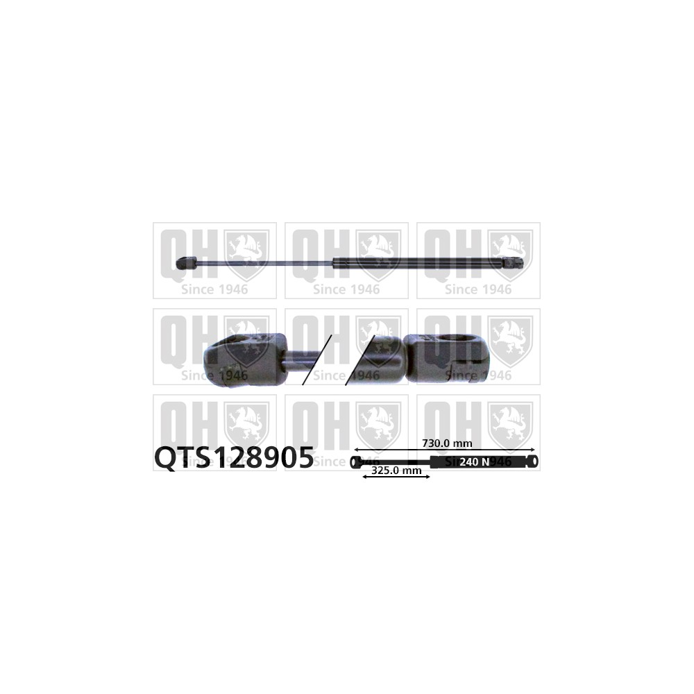 Image for QH QTS128905 Gas Spring