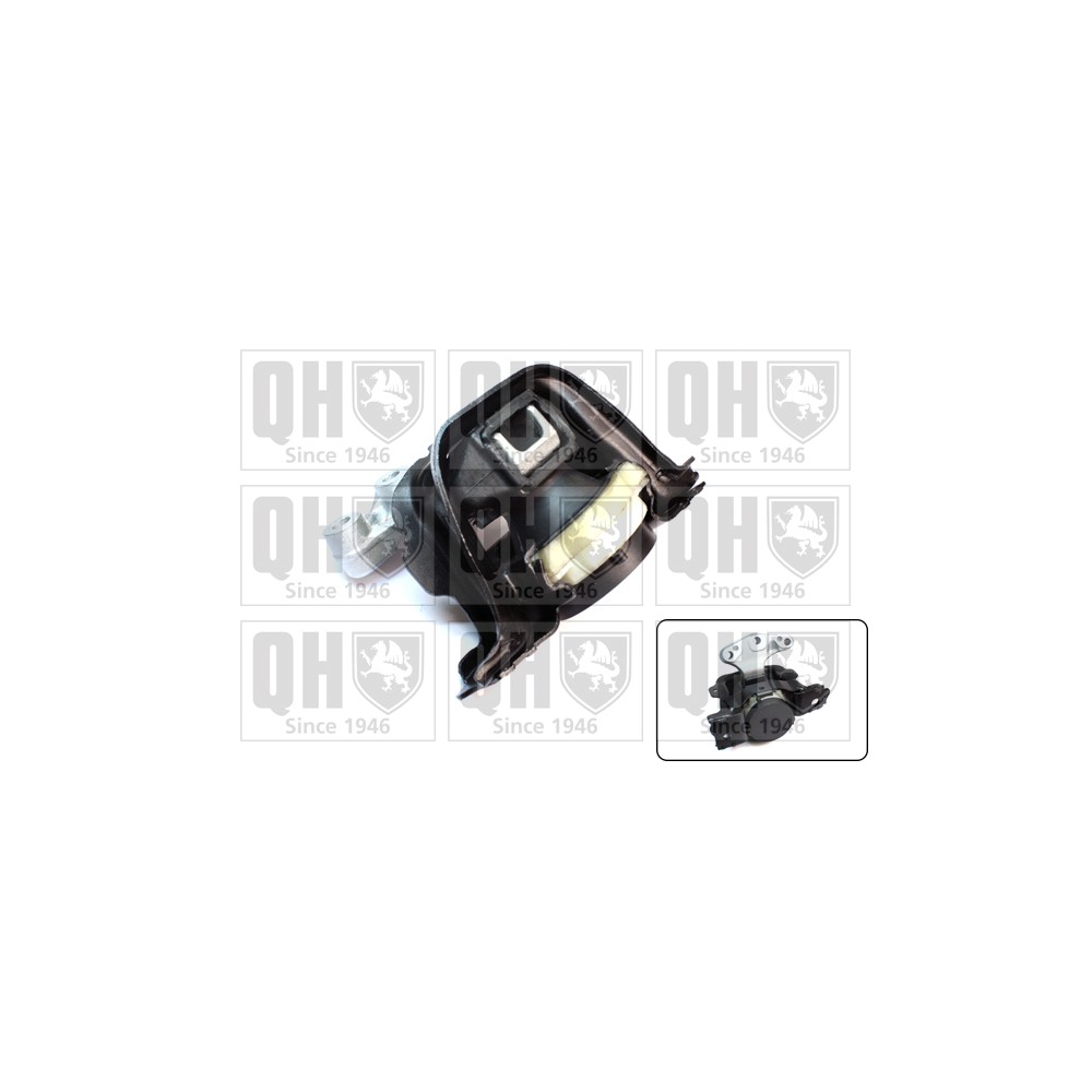 Image for QH EM4634 Engine Mounting