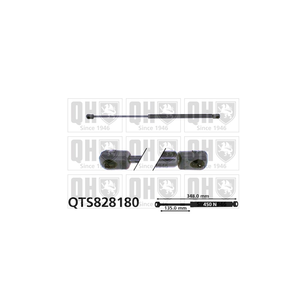 Image for QH QTS828180 Gas Spring