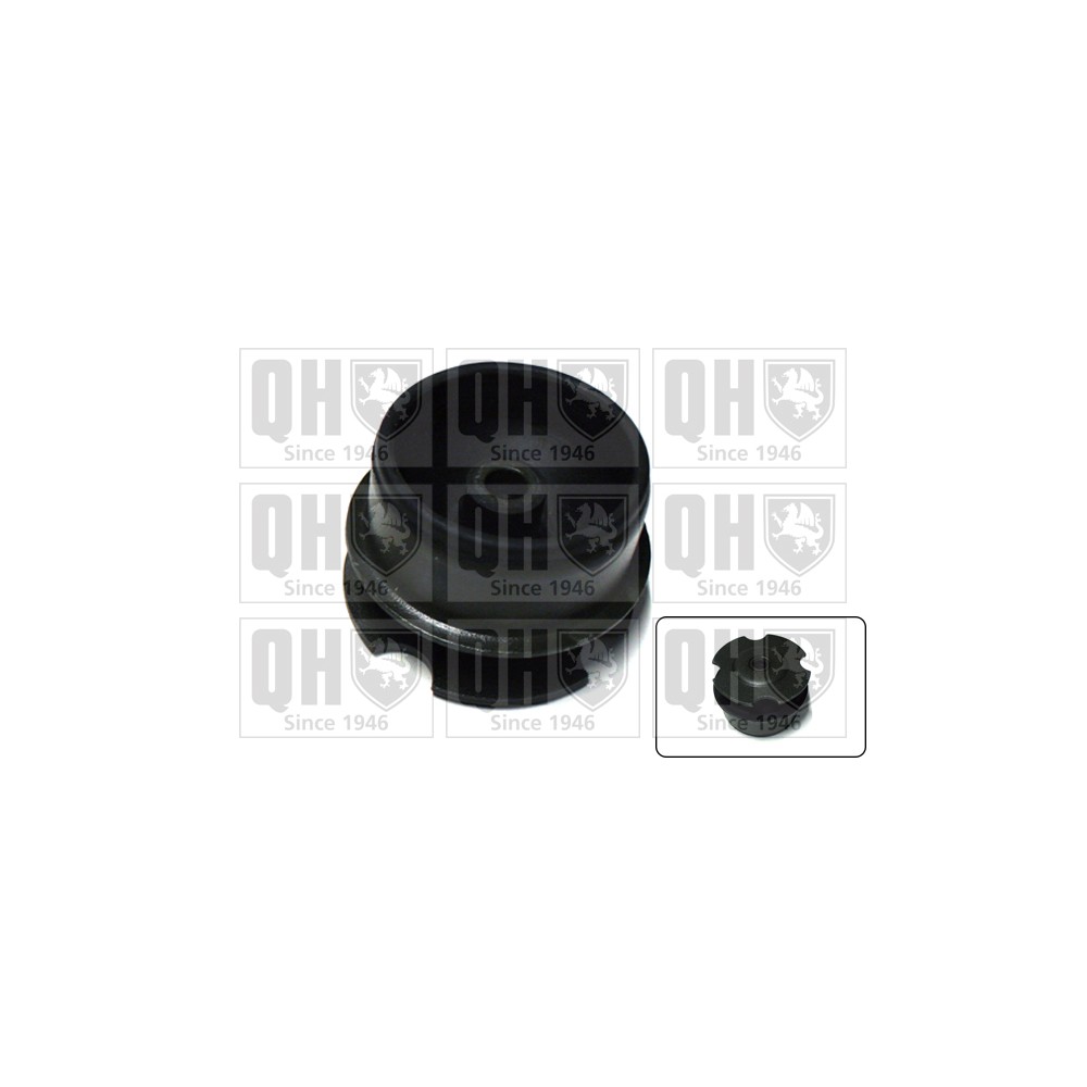 Image for QH EM4194 Engine Mounting