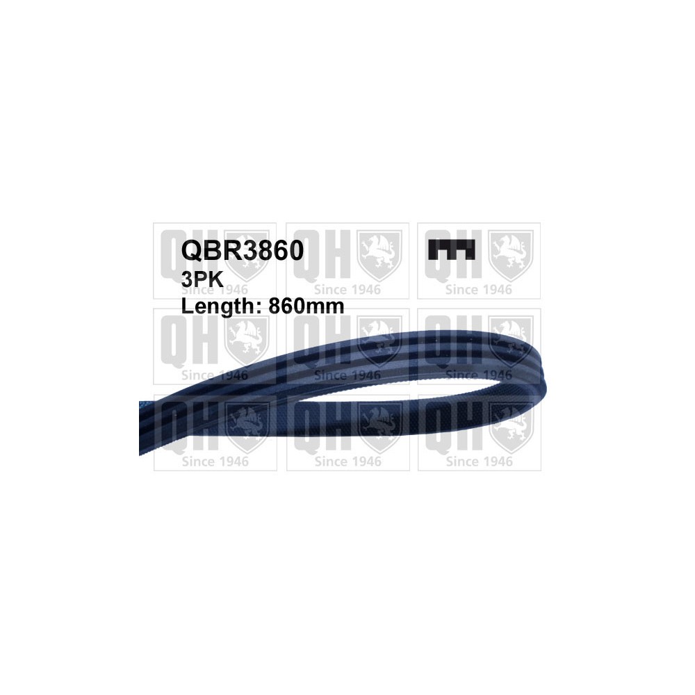 Image for QH QBR3860 Drive Belt