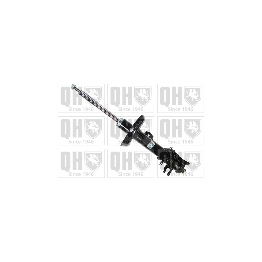 Image for QH QAG181324 Shock Absorber