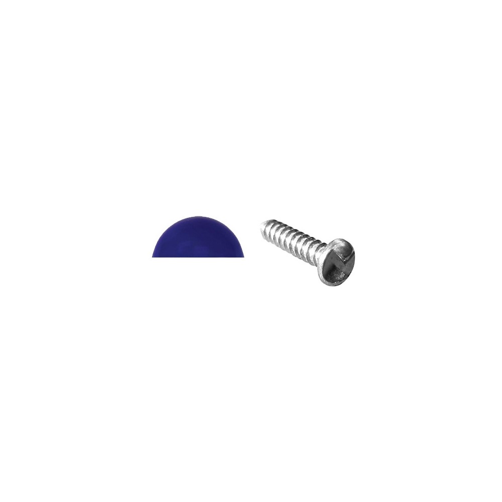 Image for Pearl PWN1110 Number Plate Sec. Screw & Domed Cap Blue
