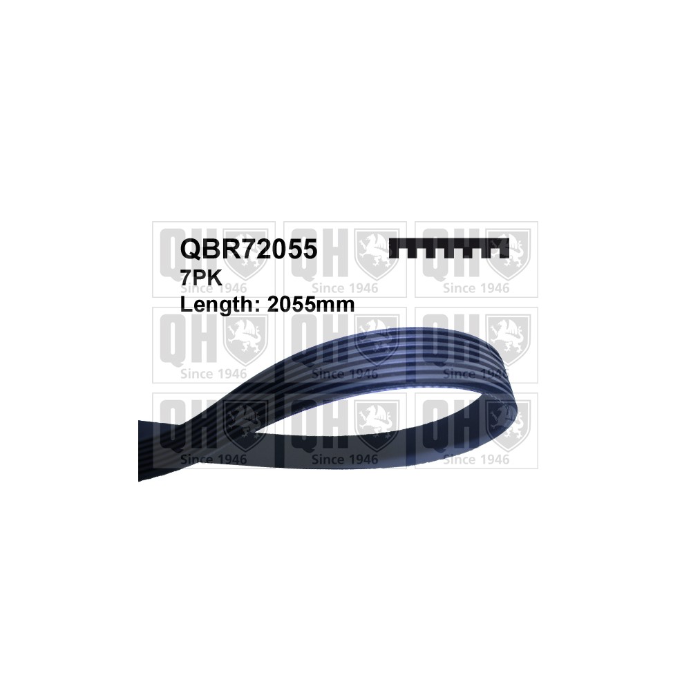 Image for QH QBR72055 Multi-ribbed belt