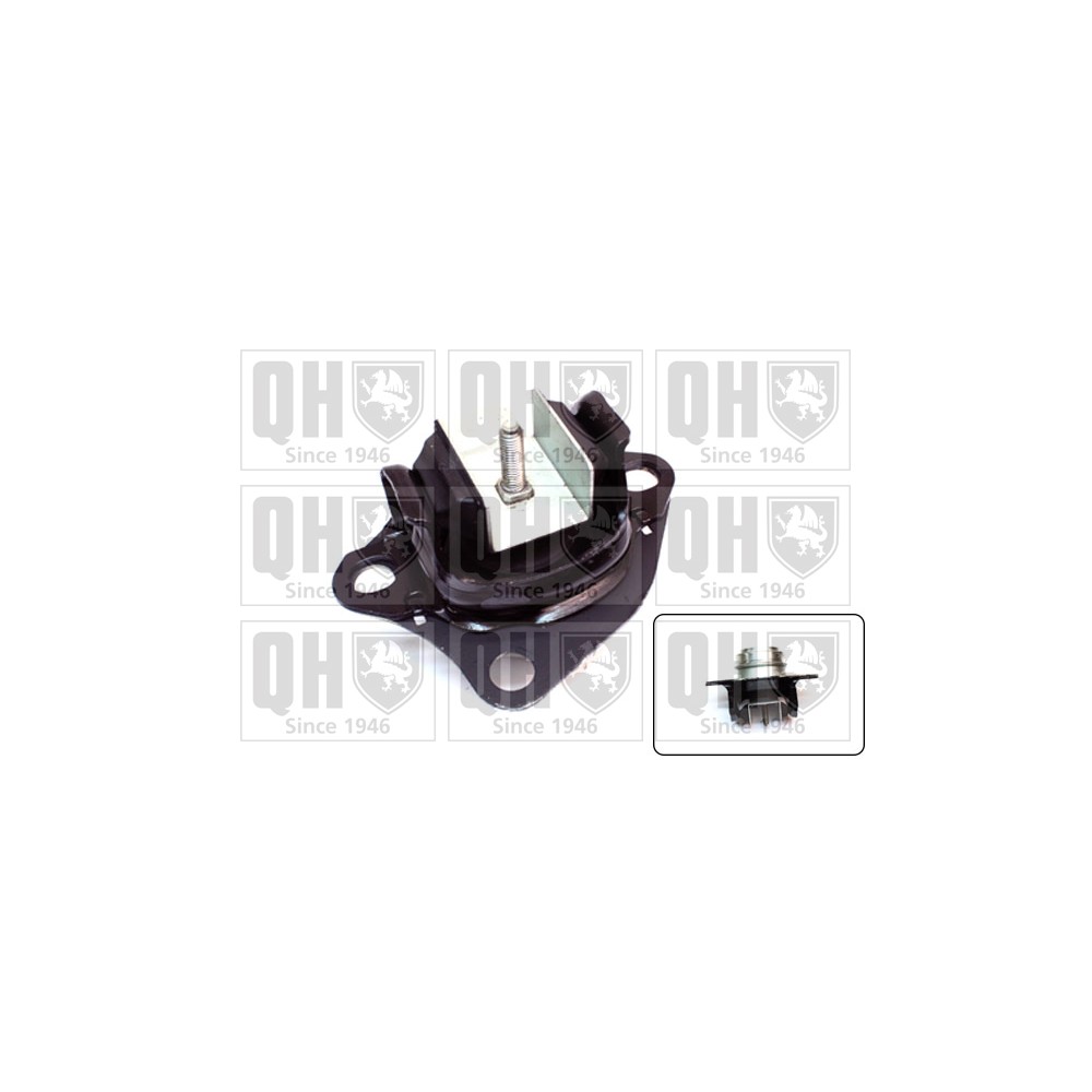 Image for QH EM4228 Engine Mounting