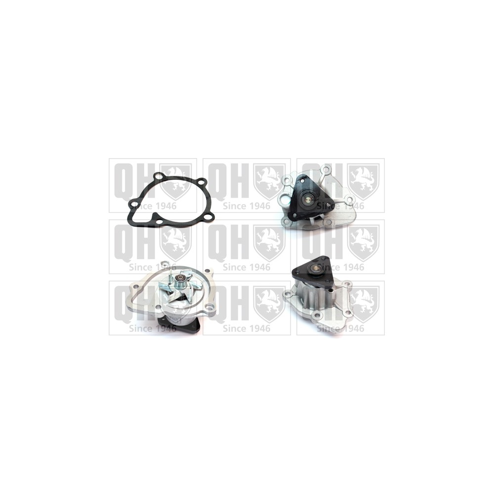Image for QH QCP3831 Water Pump