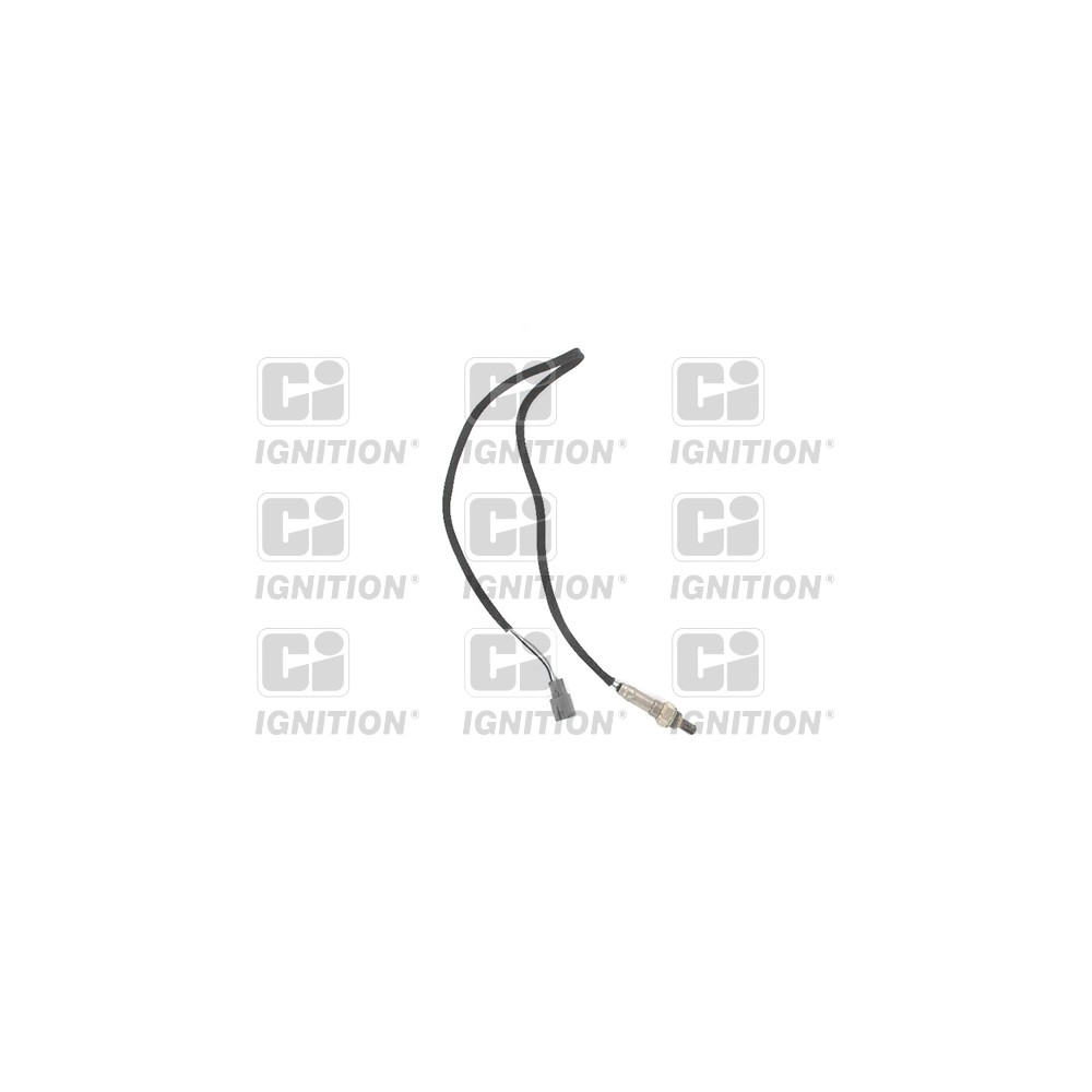 Image for Oxygen Sensor