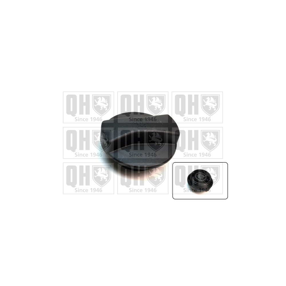 Image for QH FC549 Expansion Tank Cap