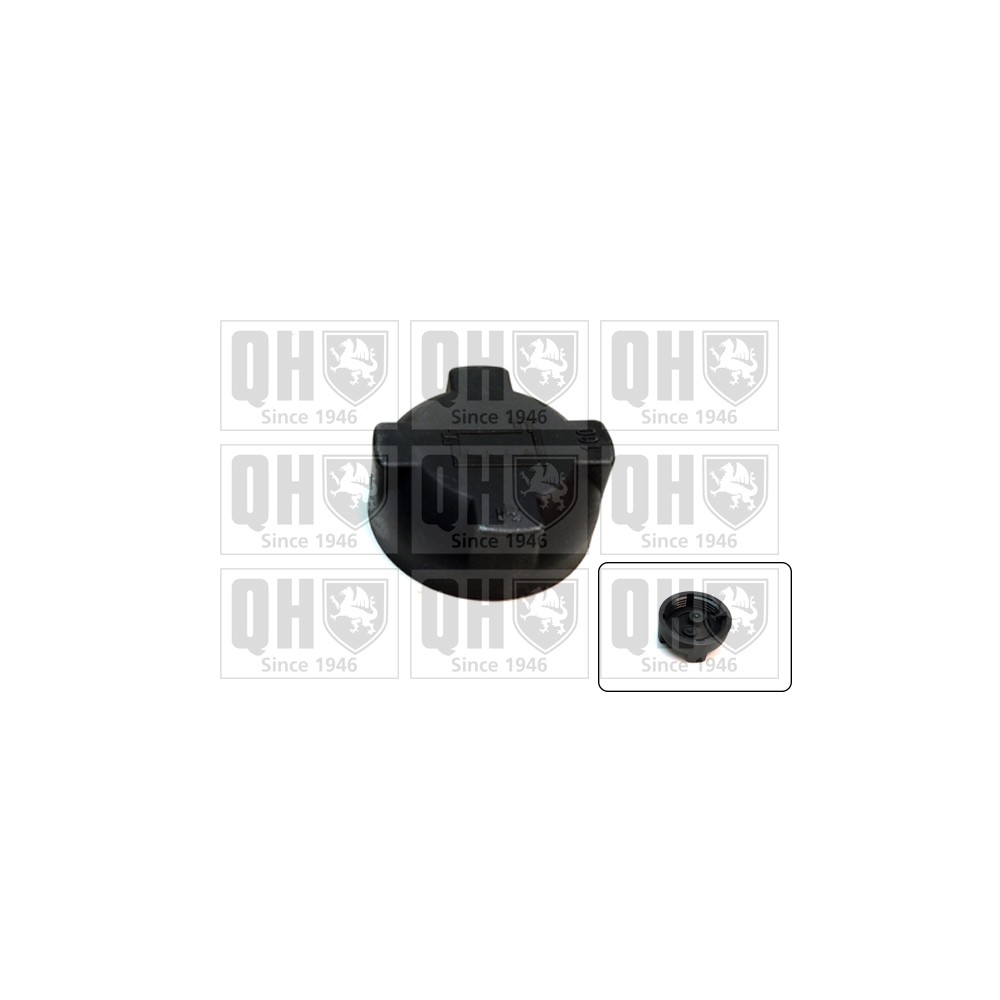 Image for QH FC553 Expansion Tank Cap