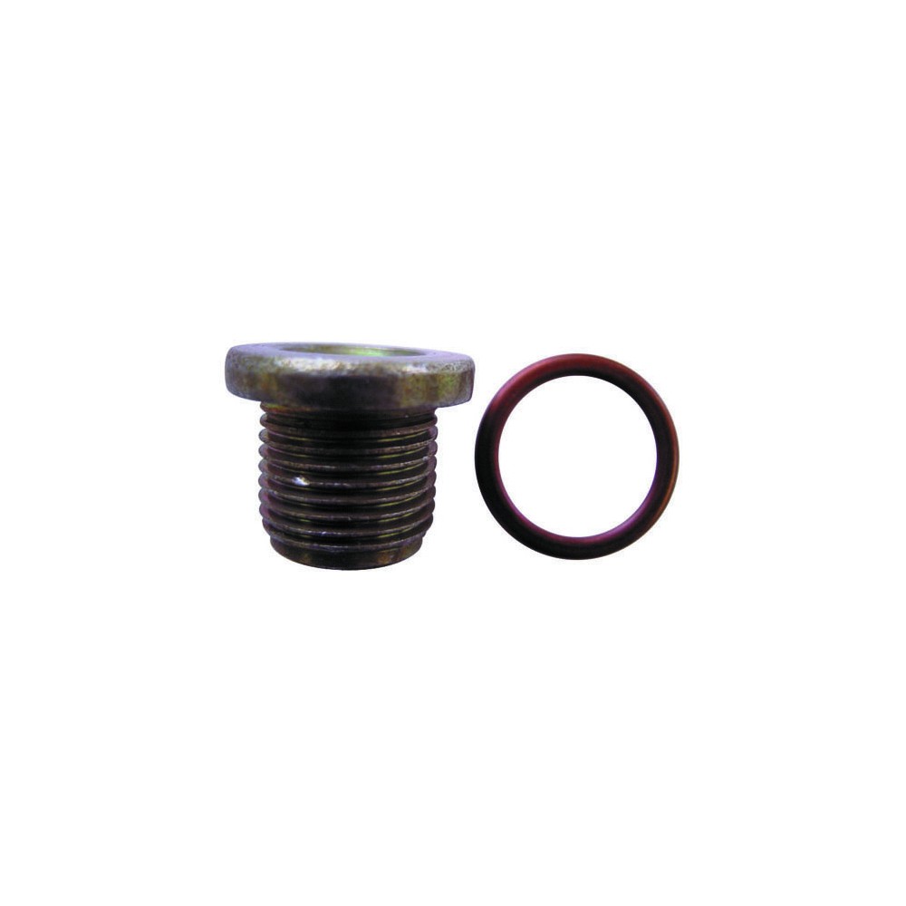 Image for Pearl Sump Plug & Washer Renault 18M