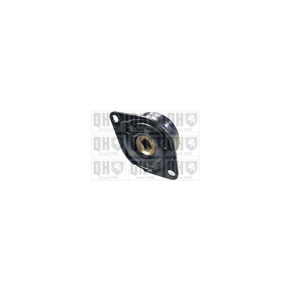 Image for QH QTA1601 Drive Belt Tensioner