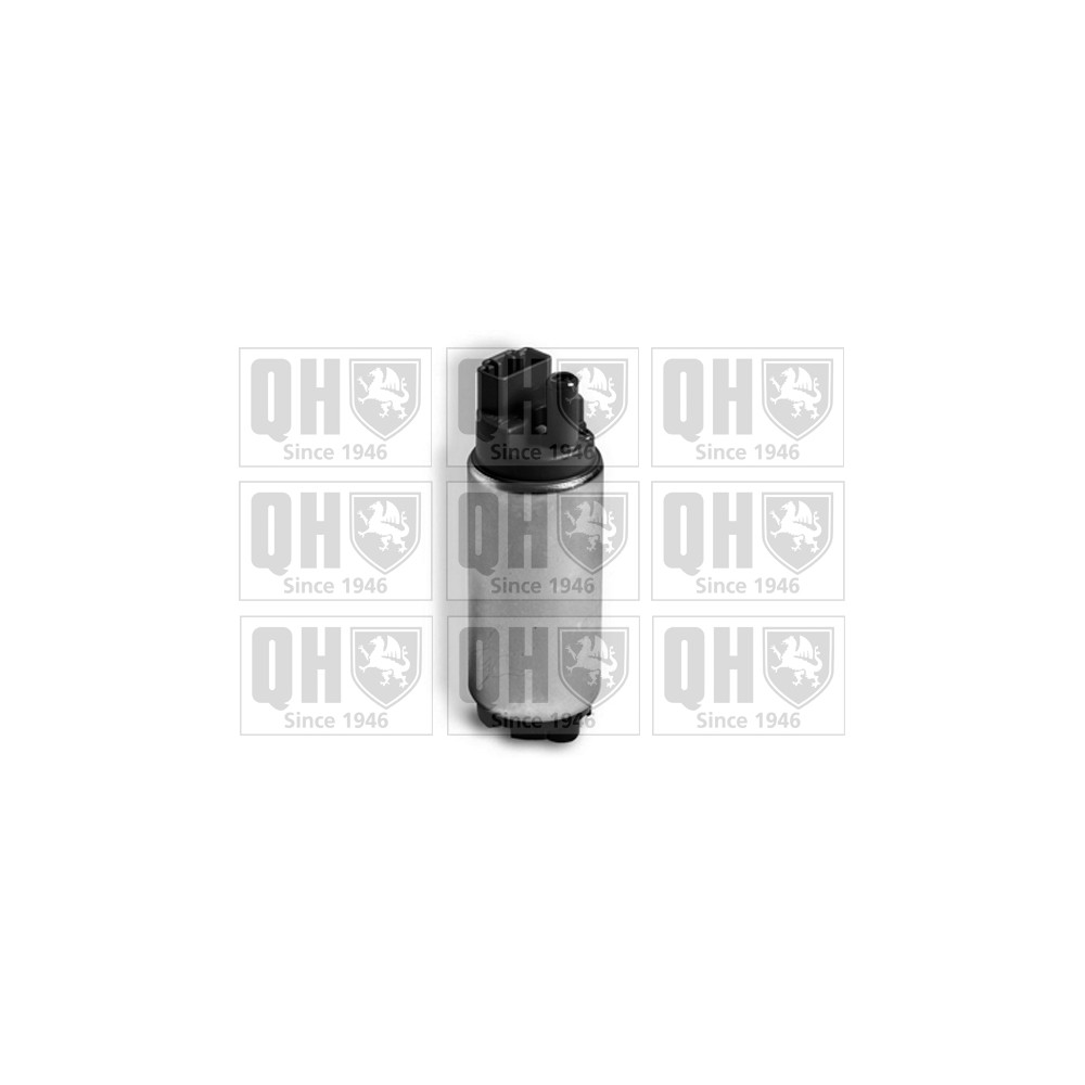 Image for QH QFP813 Fuel Pump