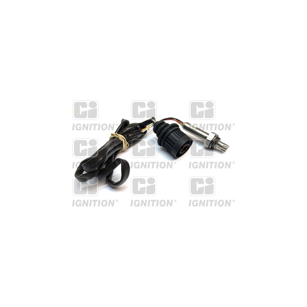 Image for Oxygen Sensor