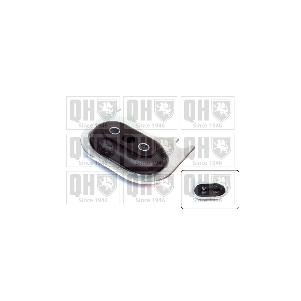 Image for QH EM2000 Gearbox Mounting