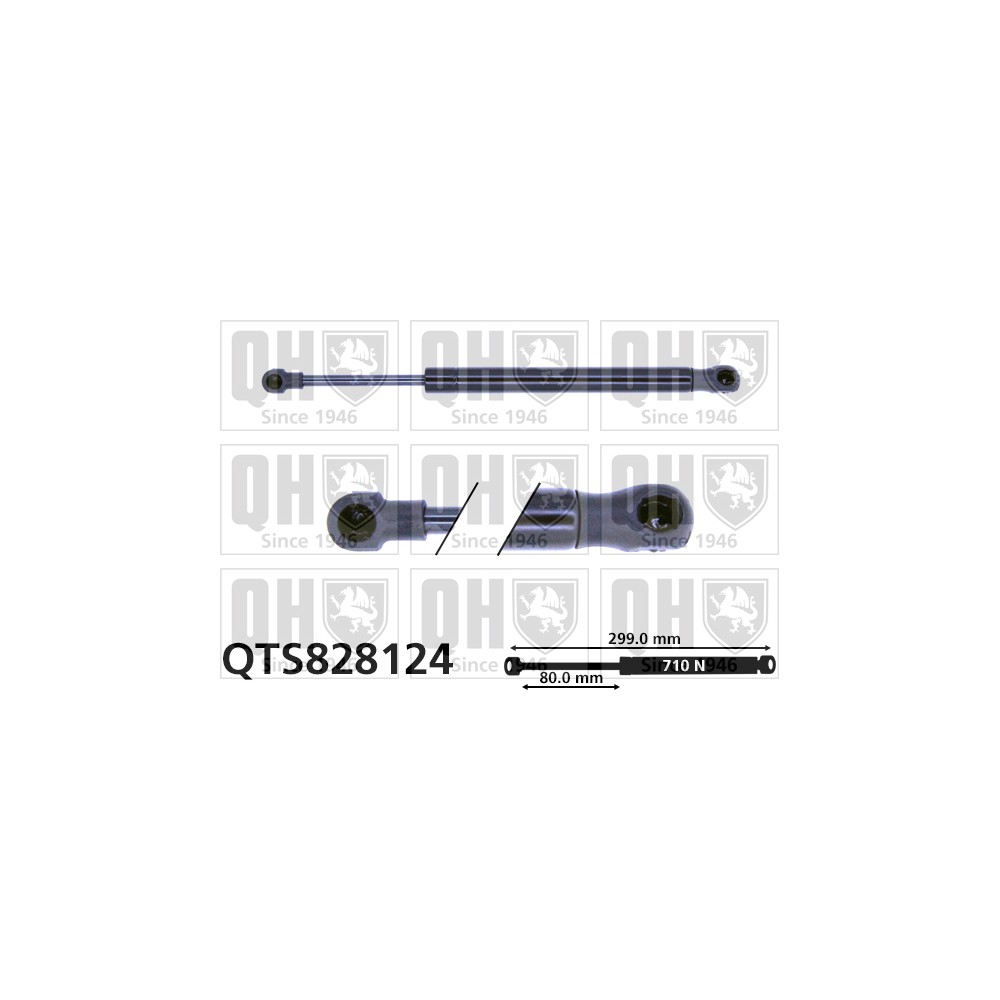 Image for QH QTS828124 Gas Spring