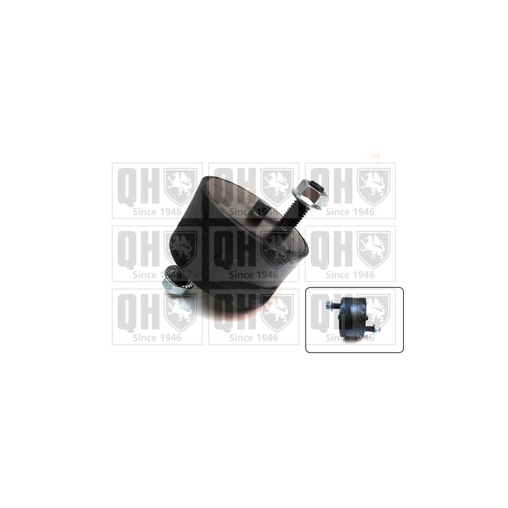 Image for QH EM1406 Engine Mounting