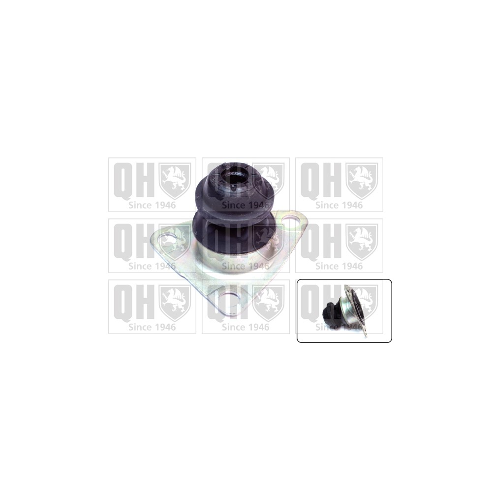 Image for QH EM3160 Engine/Gearbox Mounting - Rear