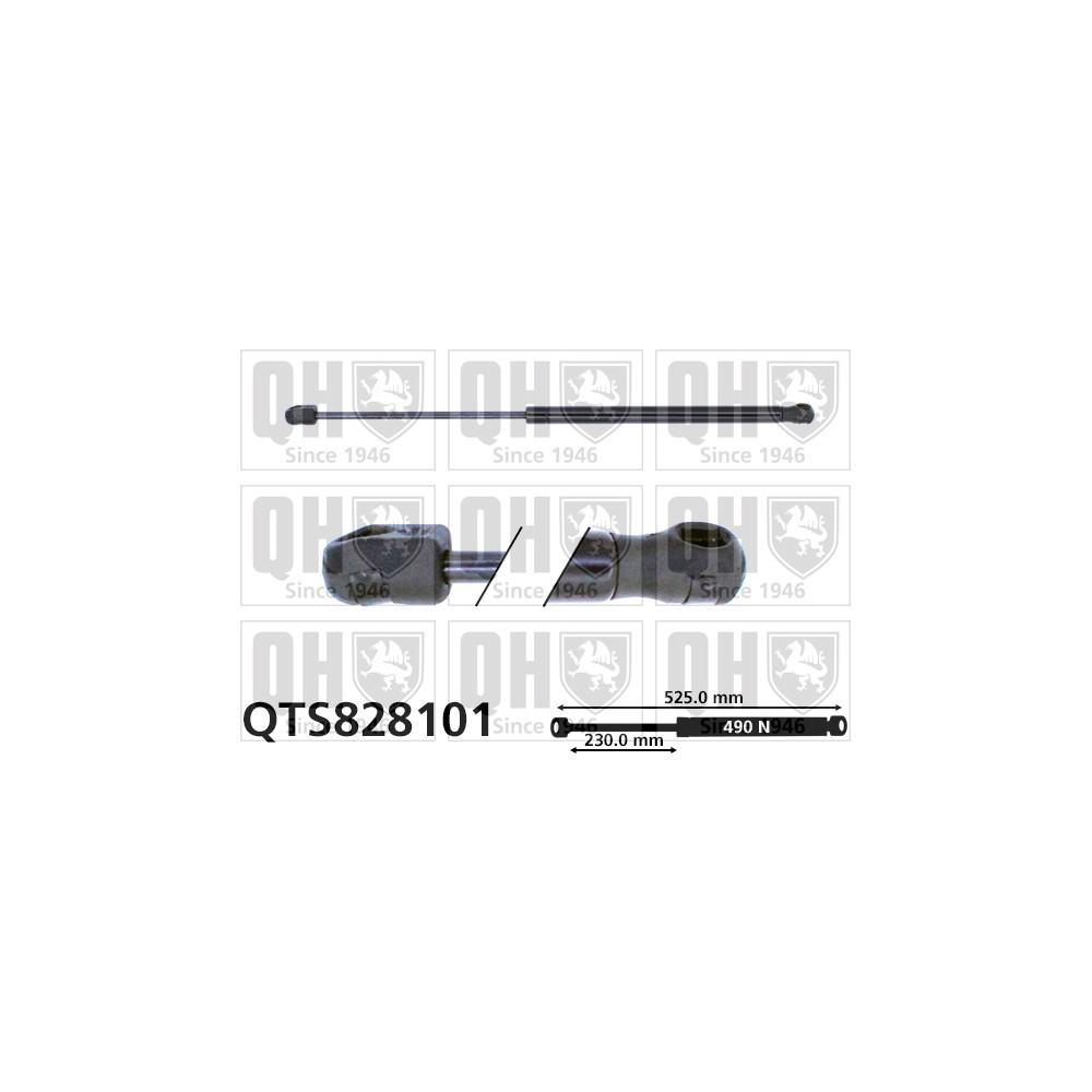 Image for QH QTS828101 Gas Spring