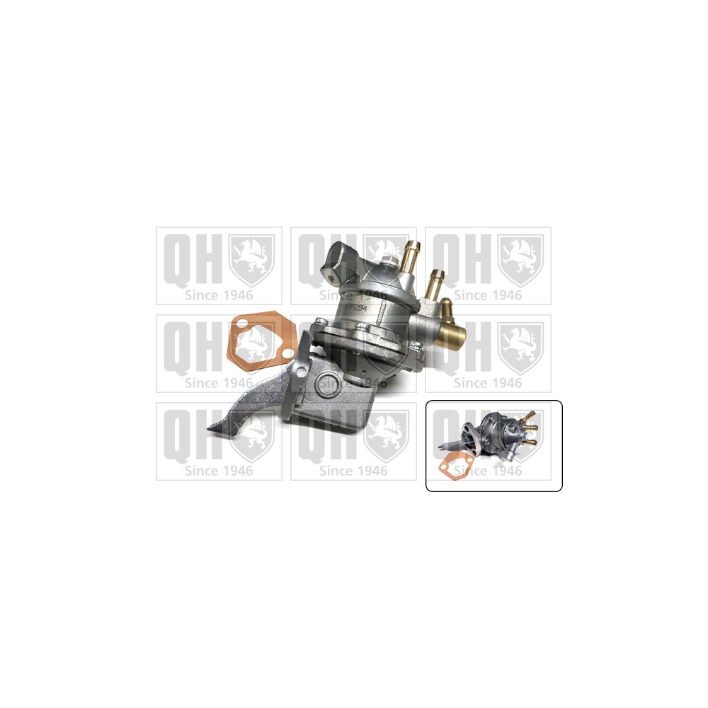 Image for QH QFP294 Fuel Pump