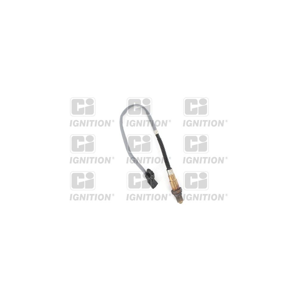 Image for Oxygen Sensor