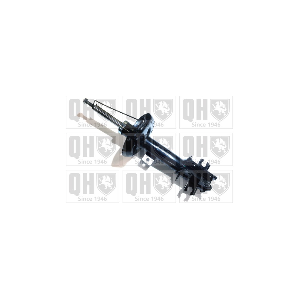 Image for QH QAG878013 Shock Absorber