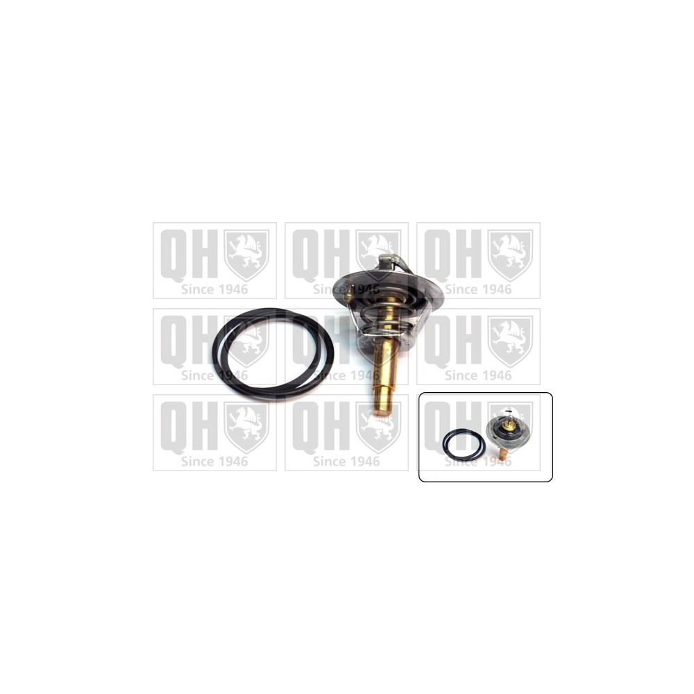 Image for QH Thermostat Kit