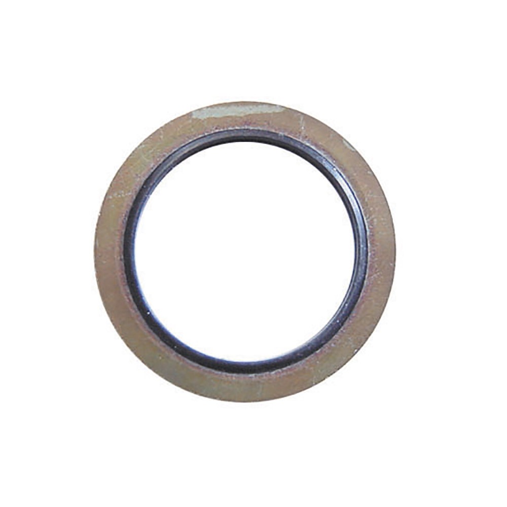 Image for Pearl Sump Washers Psa