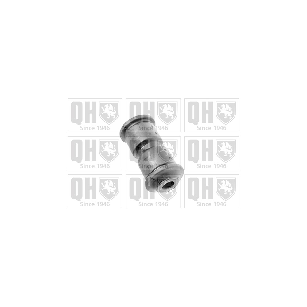 Image for QH EMS8483 Leaf Spring Bush - Rear