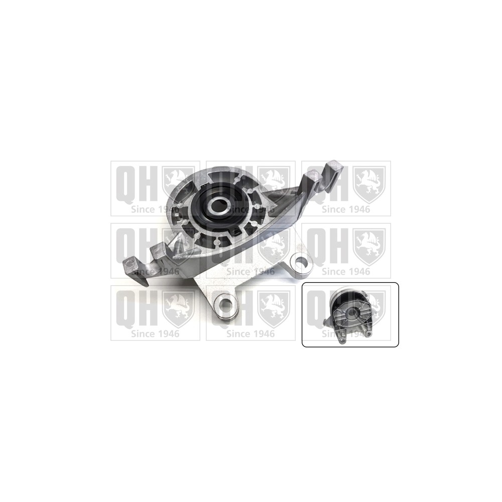 Image for QH EM4796 Engine Mounting